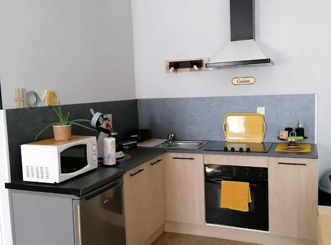 Cocooning Hyper Centre Apartament *