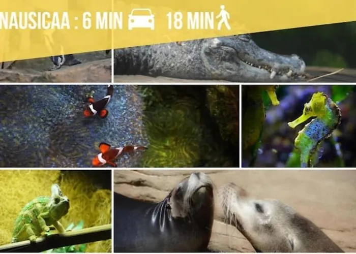 Cocooning Hyper Centre *